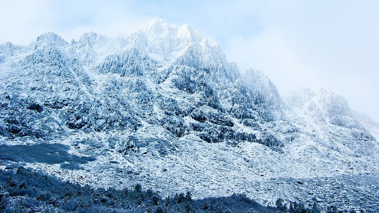 Orchard Retreat — Tasmania