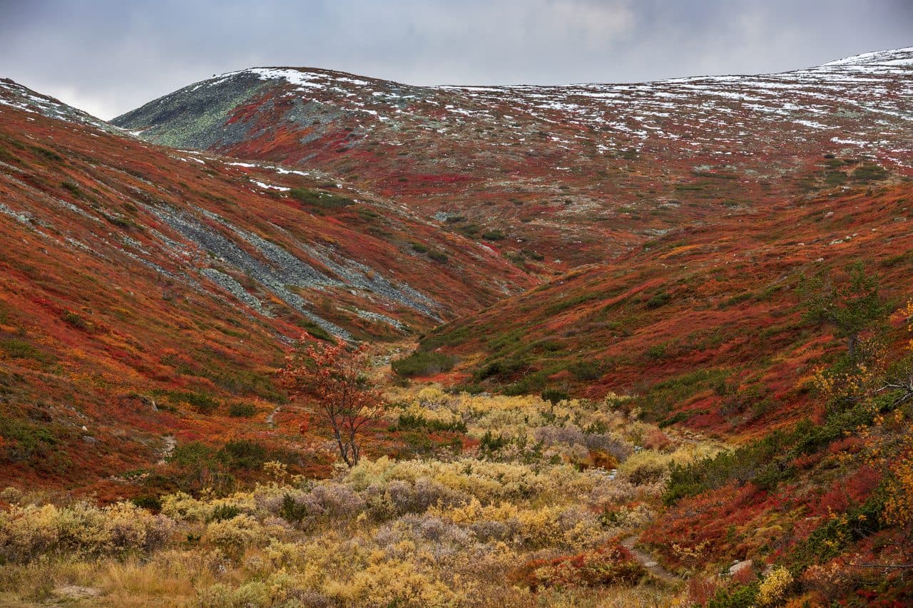 Wilderness Lodge — Lapland Interior