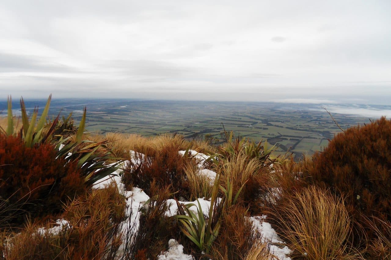 Canterbury Station Land — South Island
